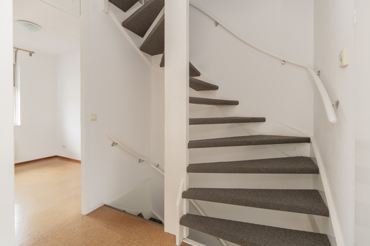 Zomertuin 39 (afbeelding 21)