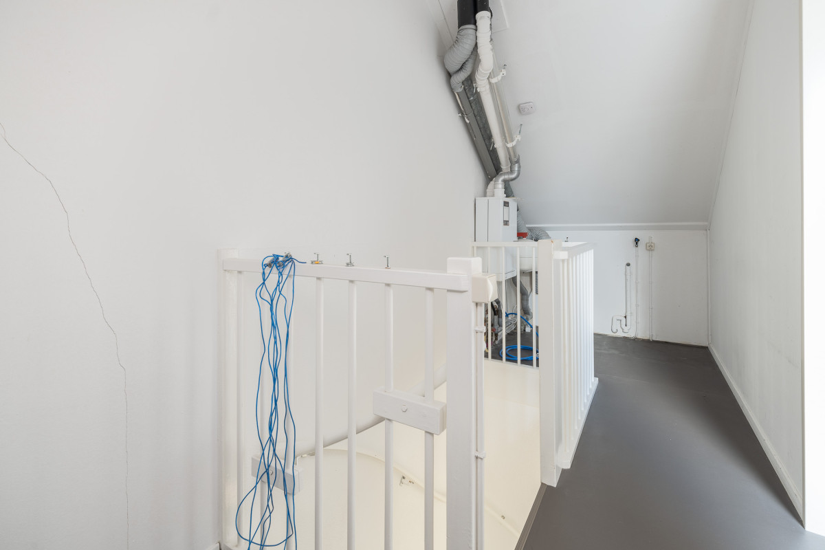 Zomertuin 39 (afbeelding 25)