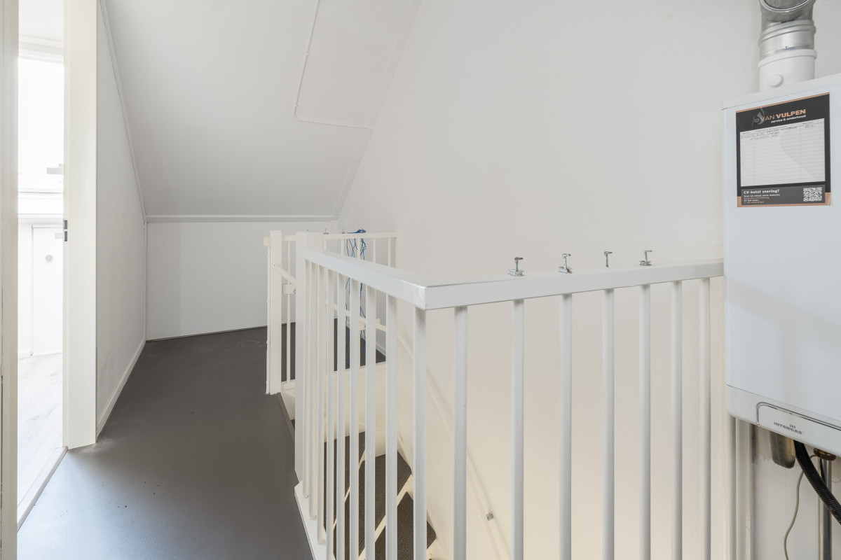 Zomertuin 39 (afbeelding 26)