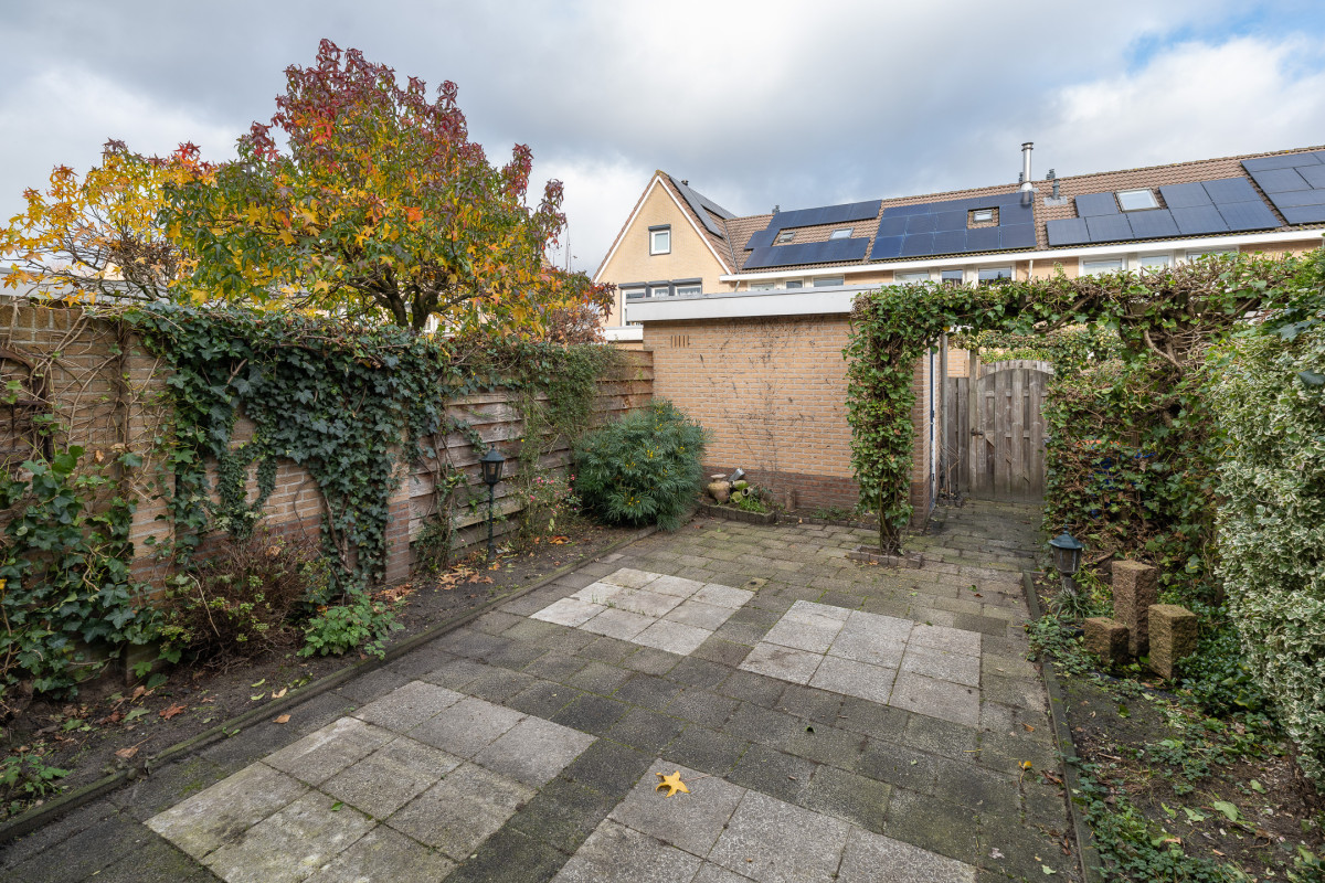 Zomertuin 39 (afbeelding 27)