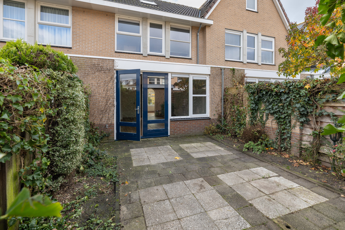 Zomertuin 39 (afbeelding 28)