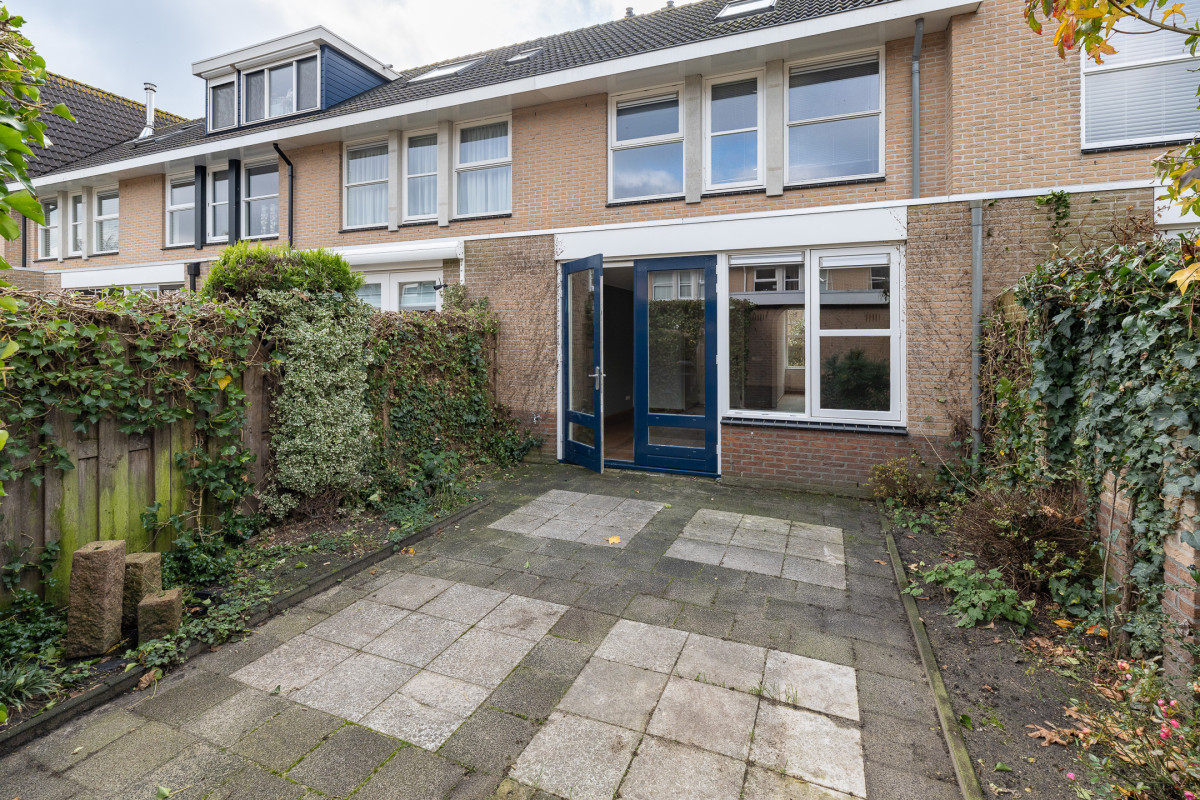 Zomertuin 39 (afbeelding 29)