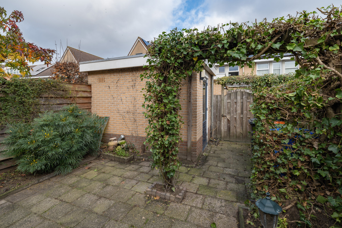 Zomertuin 39 (afbeelding 30)