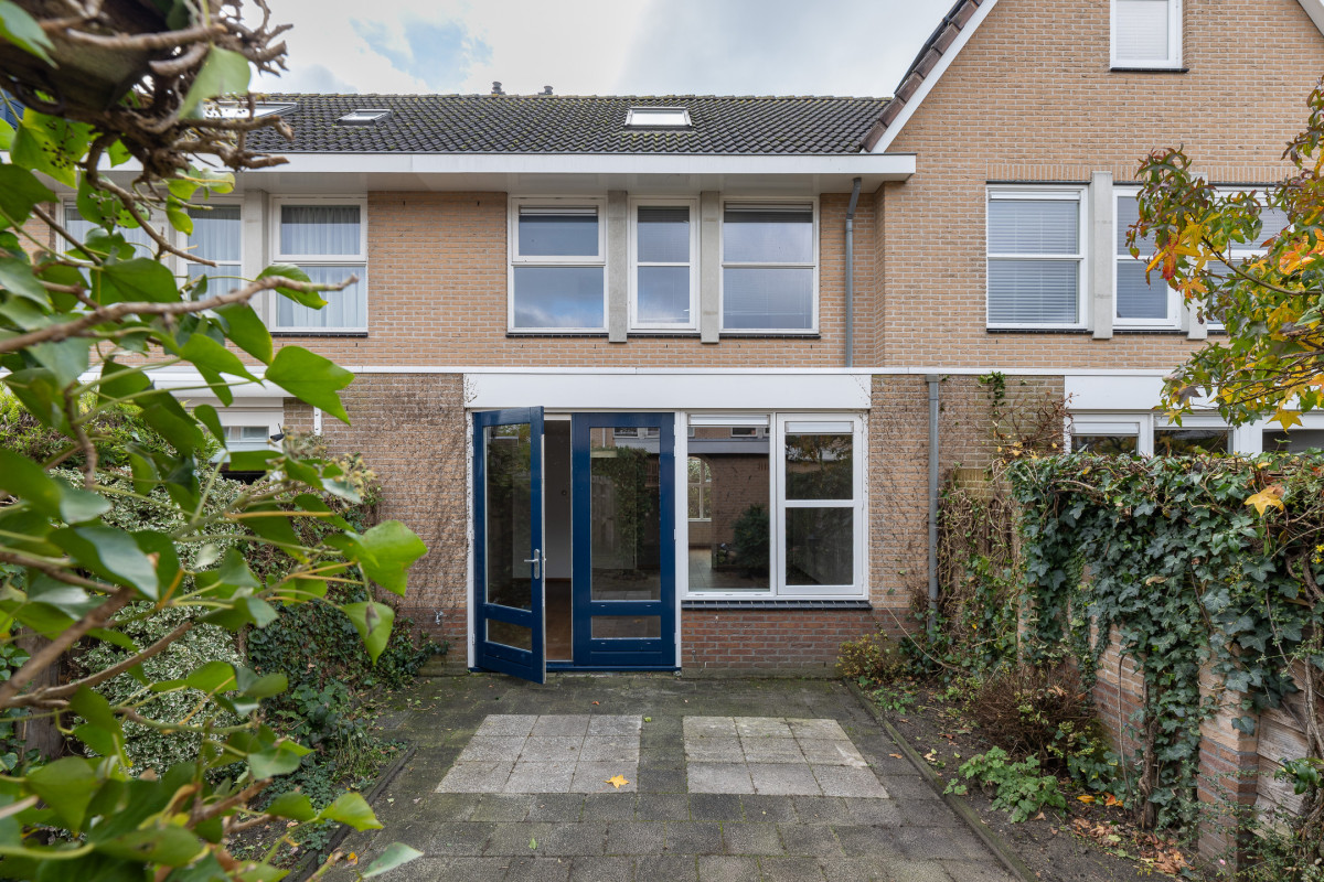 Zomertuin 39 (afbeelding 31)