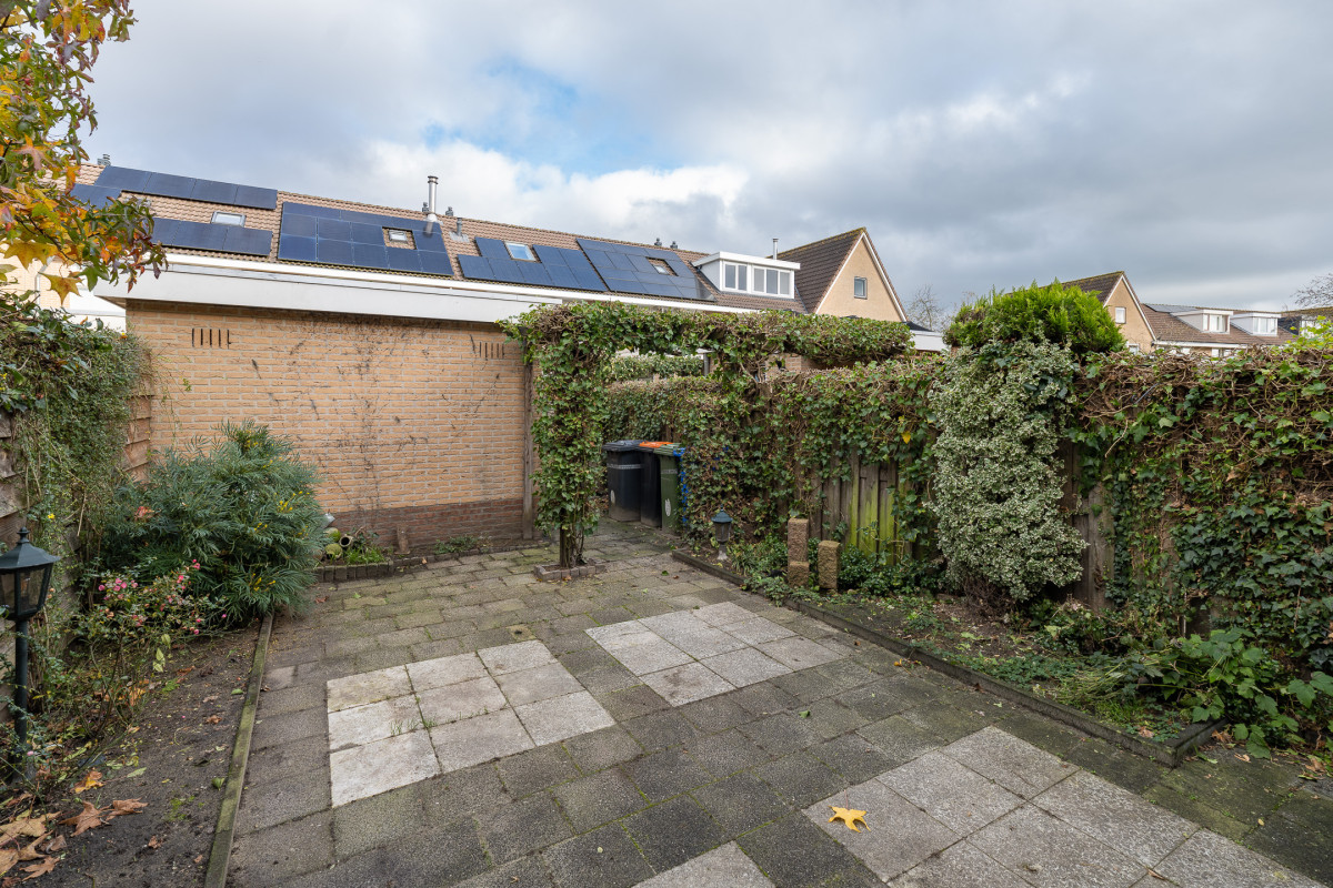 Zomertuin 39 (afbeelding 32)