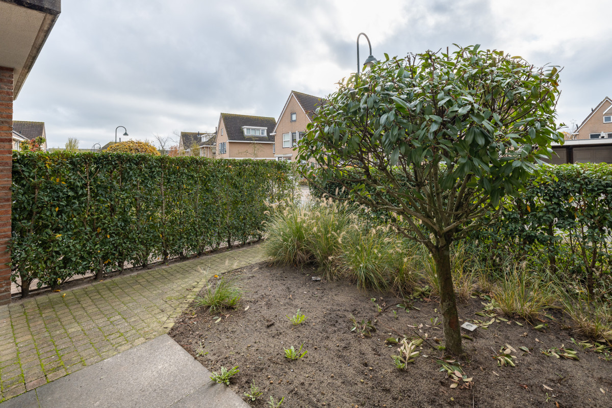 Zomertuin 39 (afbeelding 33)