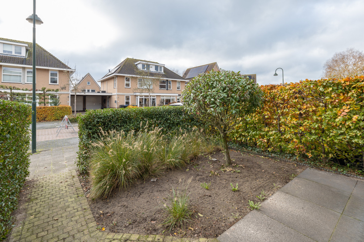 Zomertuin 39 (afbeelding 34)