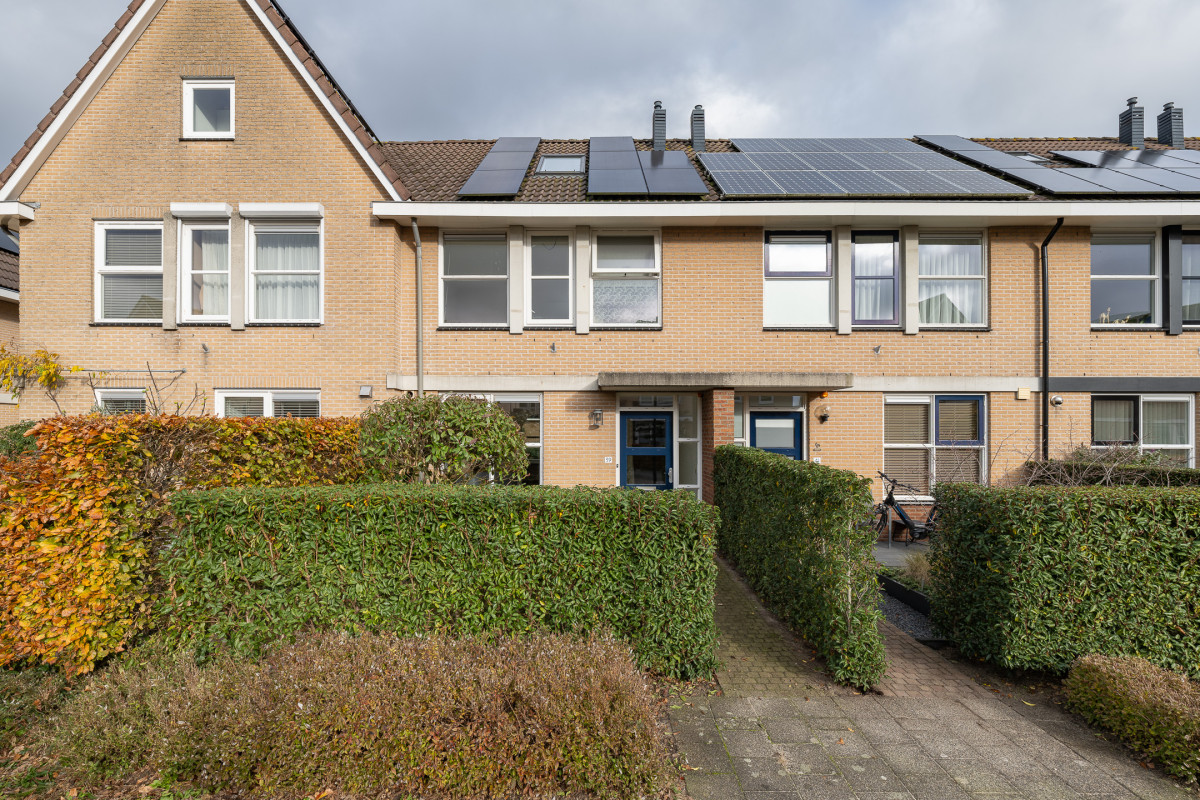 Zomertuin 39 (afbeelding 36)