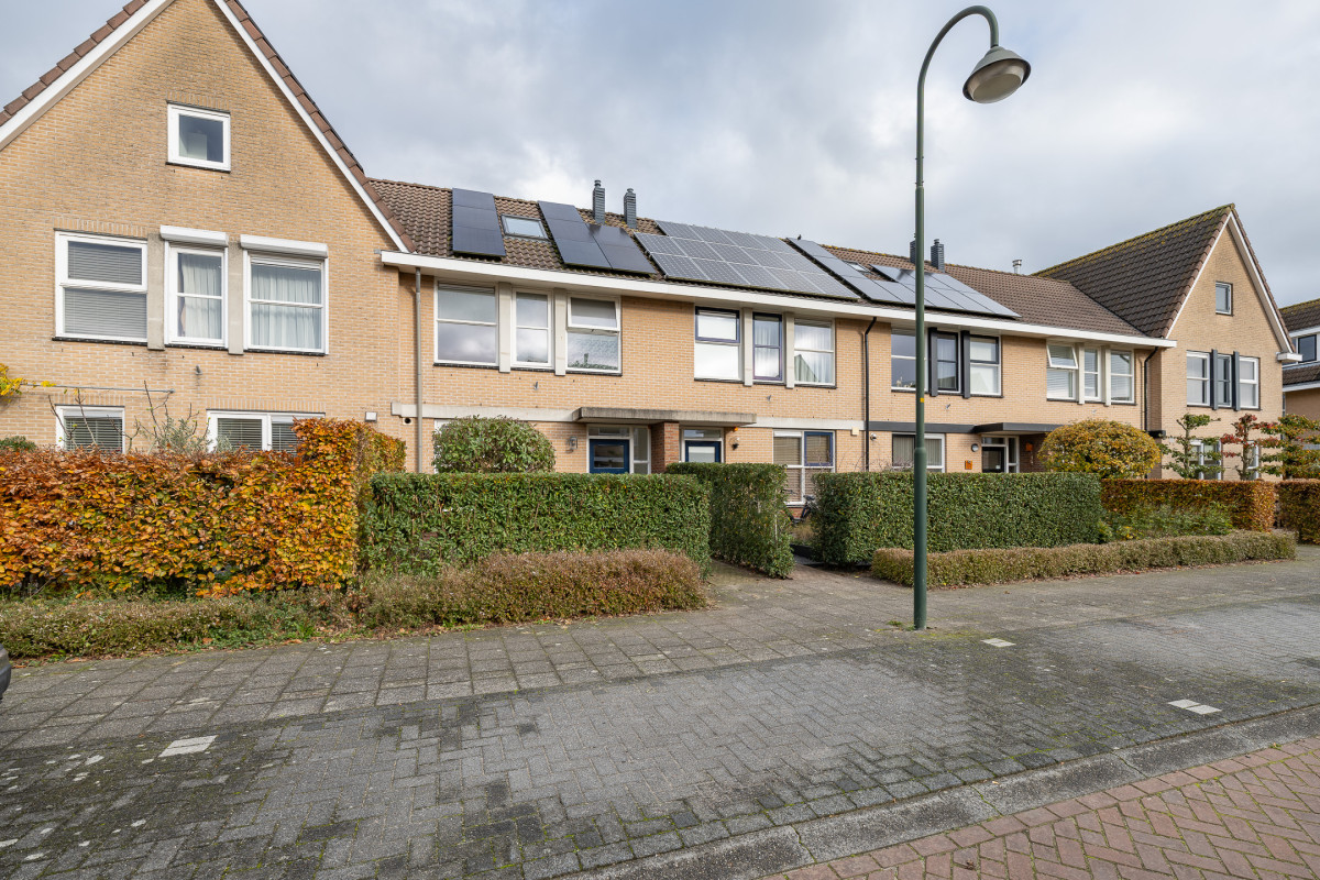 Zomertuin 39 (afbeelding 37)