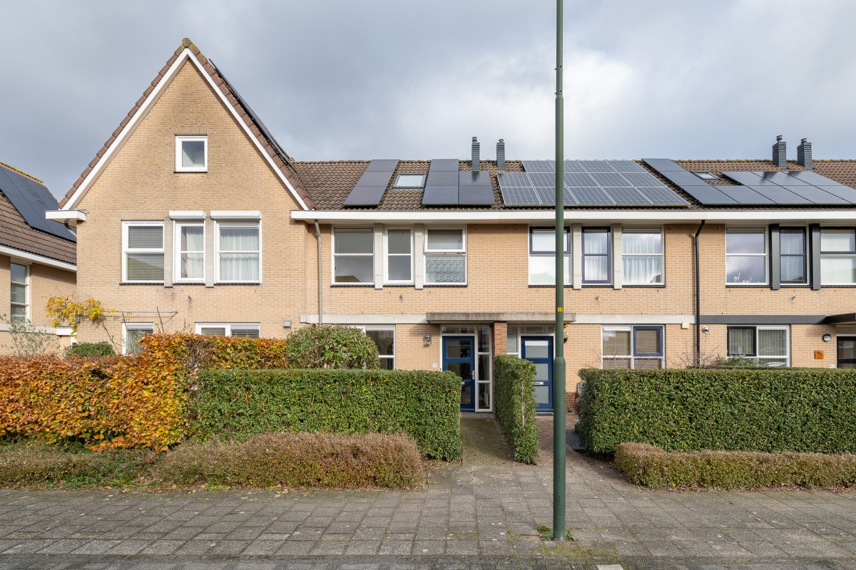 Zomertuin 39 (afbeelding 38)