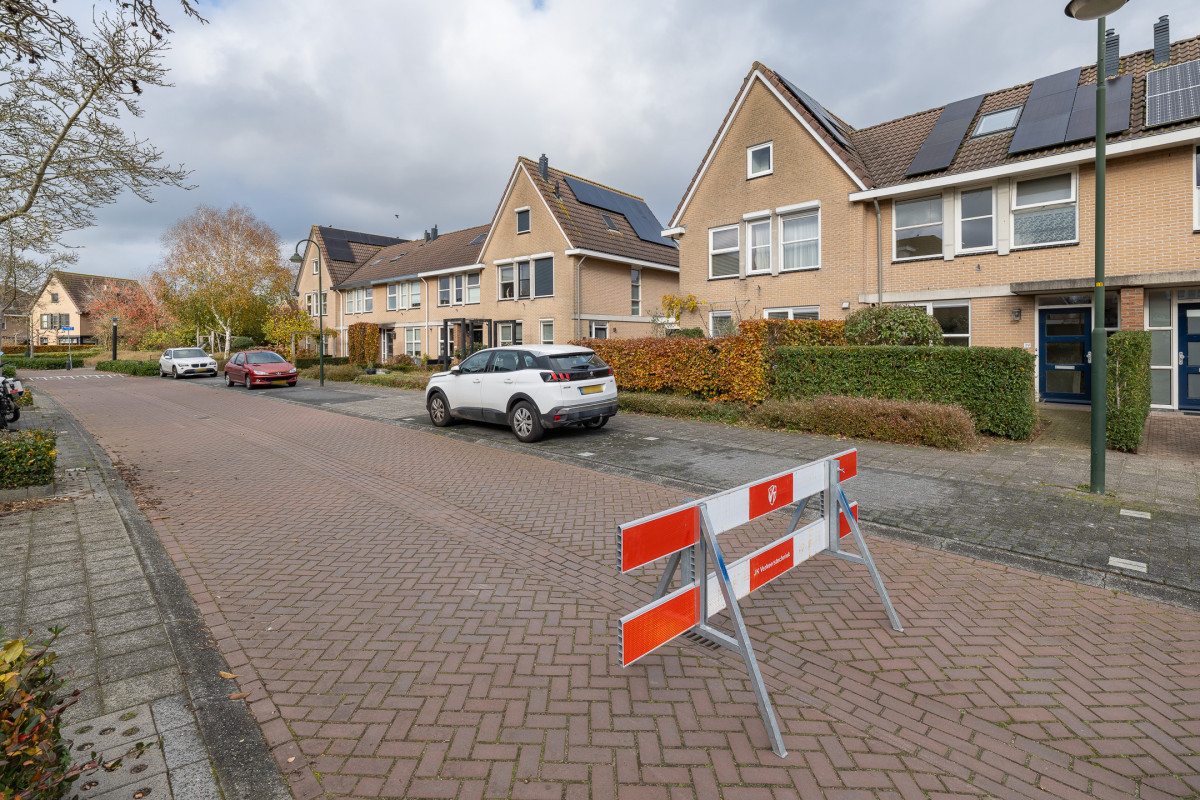 Zomertuin 39 (afbeelding 39)