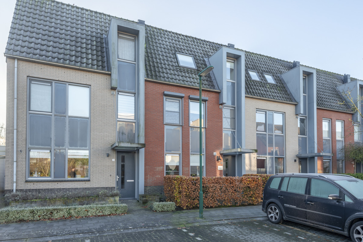 Speenkruid 5 (afbeelding 1)