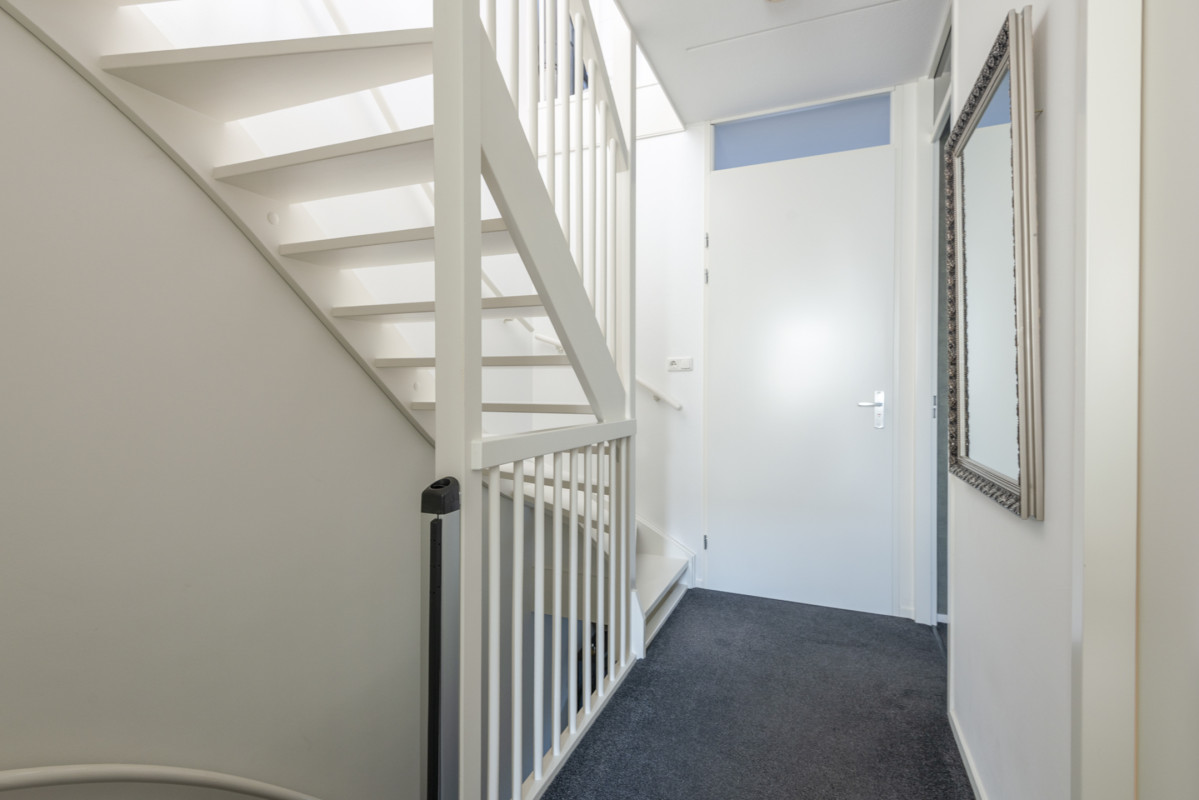 Speenkruid 5 (afbeelding 20)