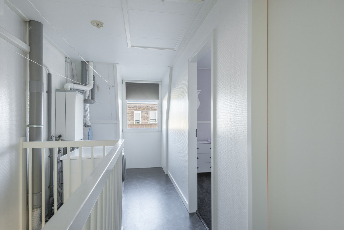 Speenkruid 5 (afbeelding 33)