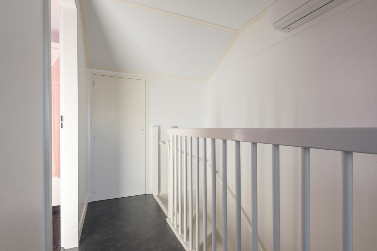 Speenkruid 5 (afbeelding 34)