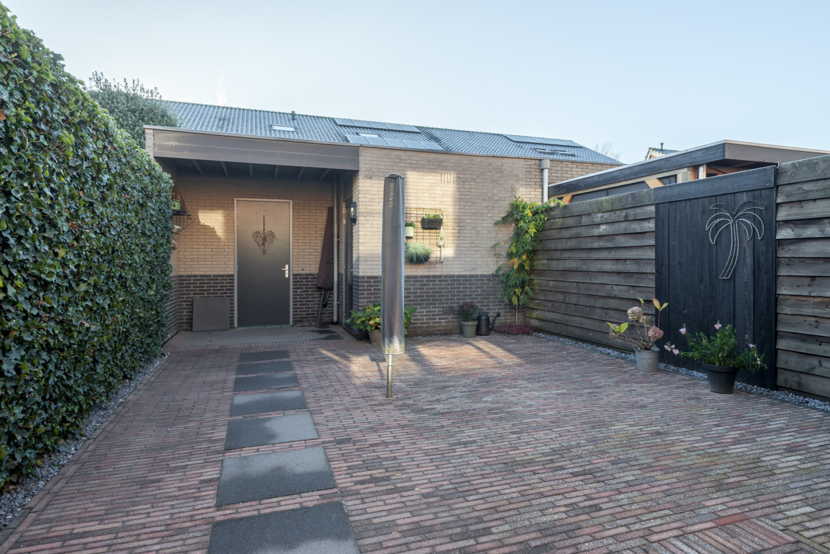 Speenkruid 5 (afbeelding 42)