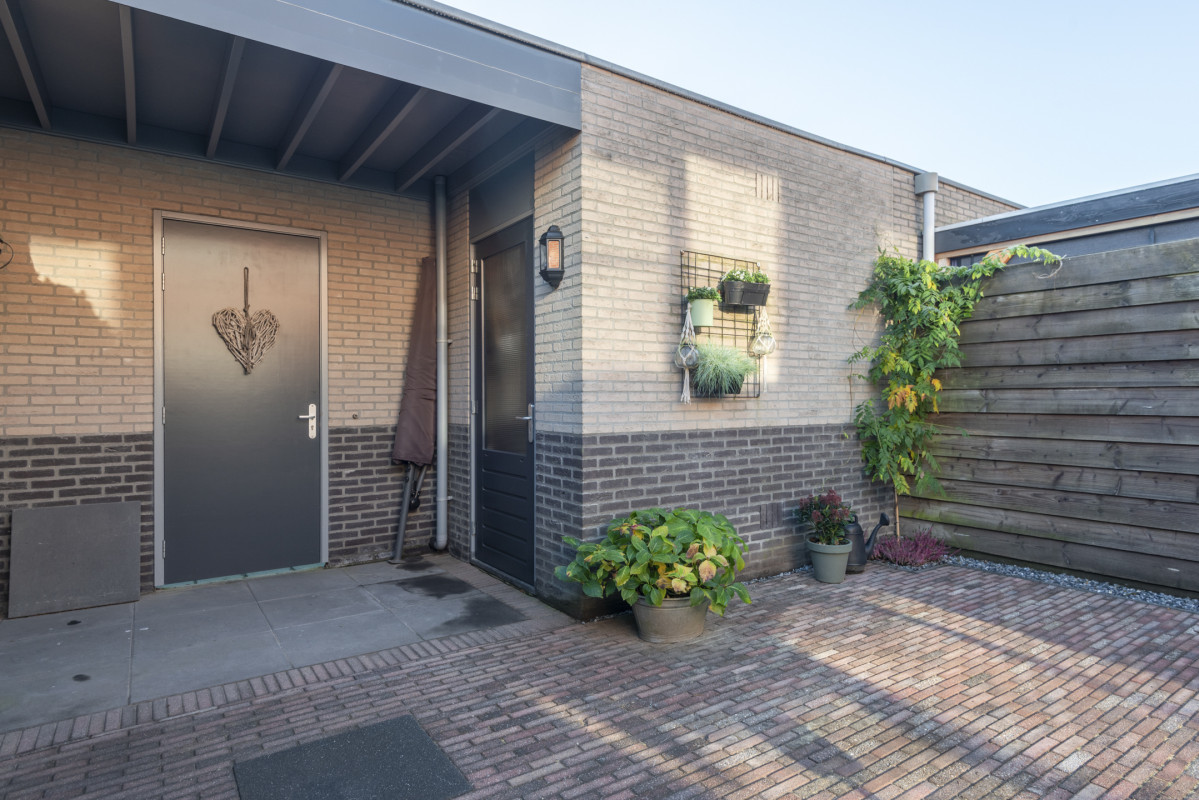 Speenkruid 5 (afbeelding 43)