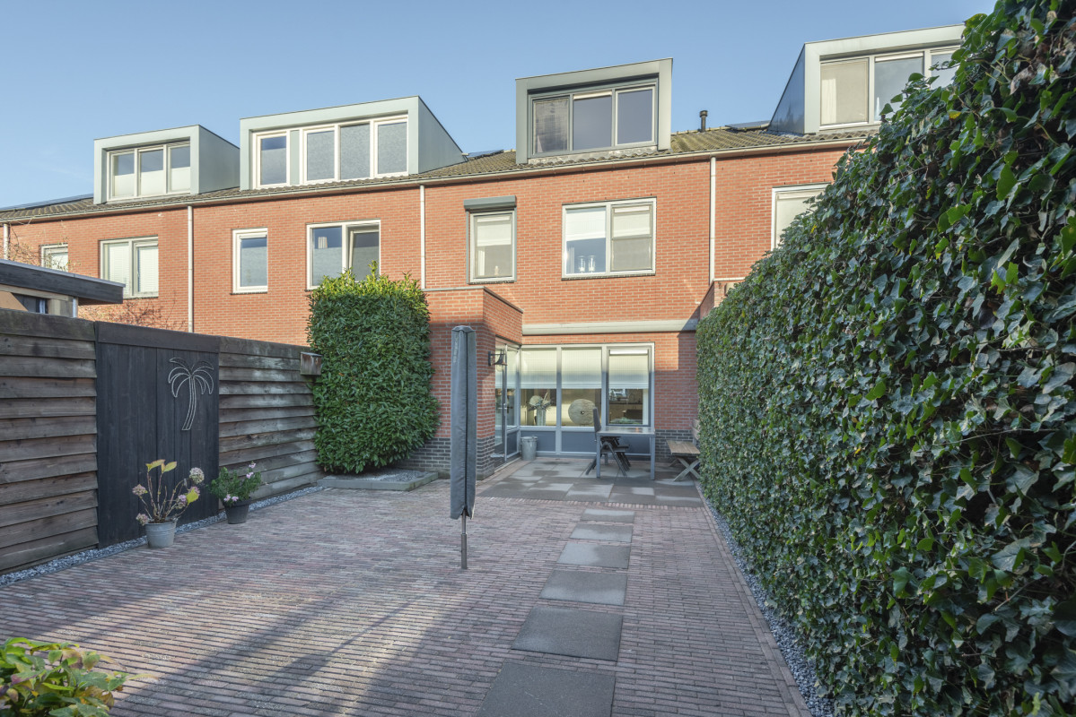 Speenkruid 5 (afbeelding 44)