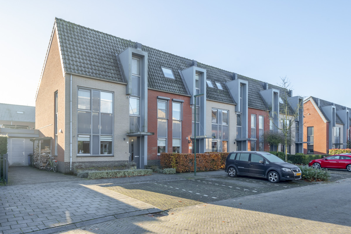 Speenkruid 5 (afbeelding 46)