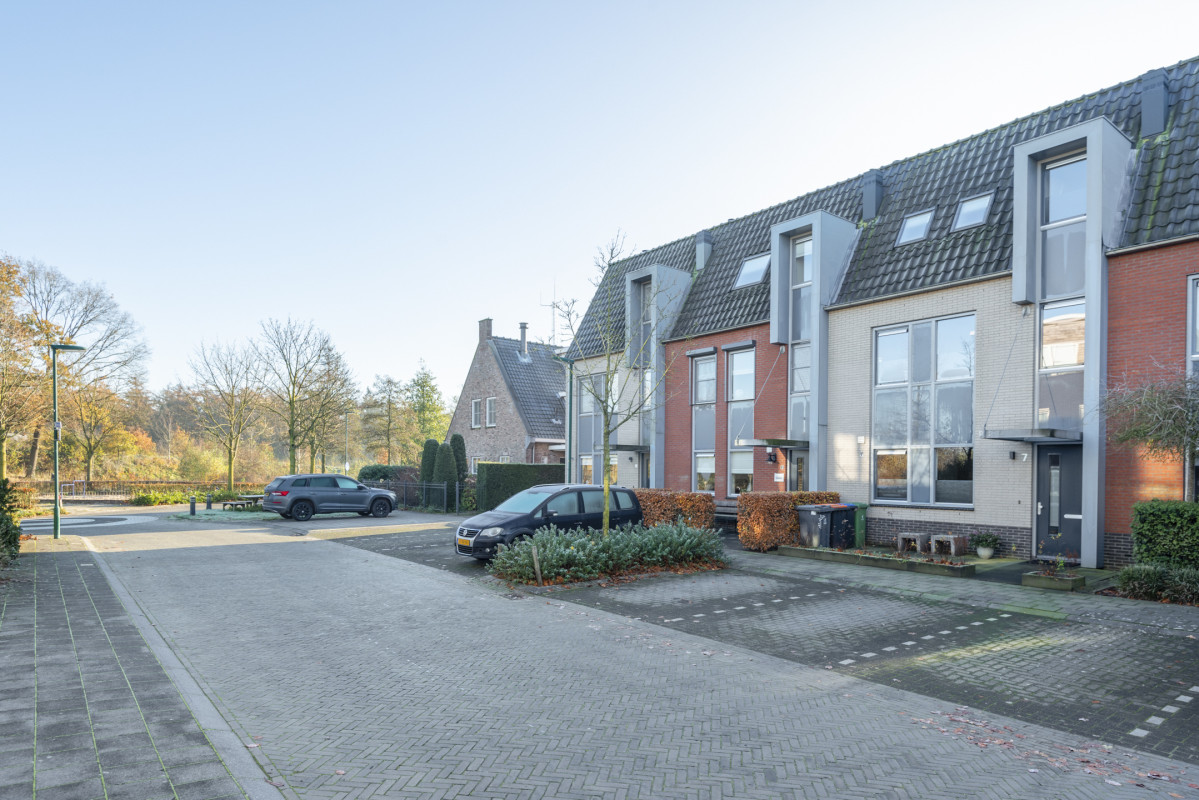 Speenkruid 5 (afbeelding 47)