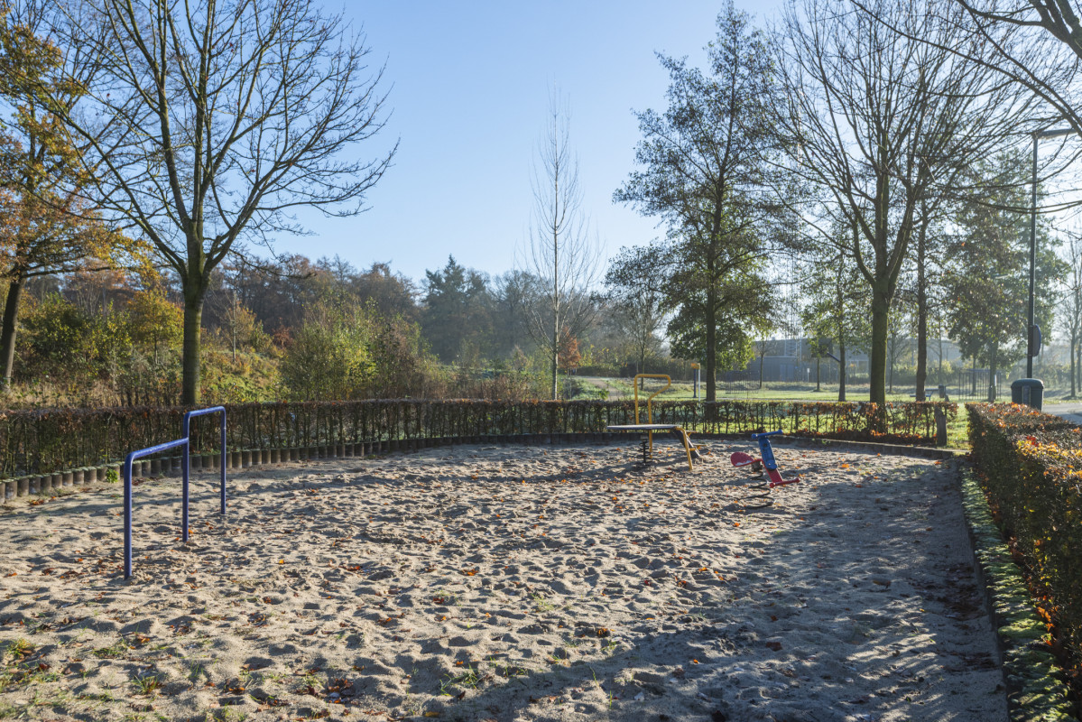 Speenkruid 5 (afbeelding 48)