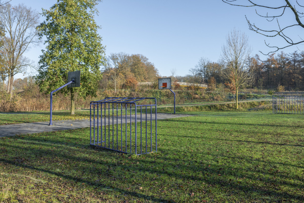 Speenkruid 5 (afbeelding 49)