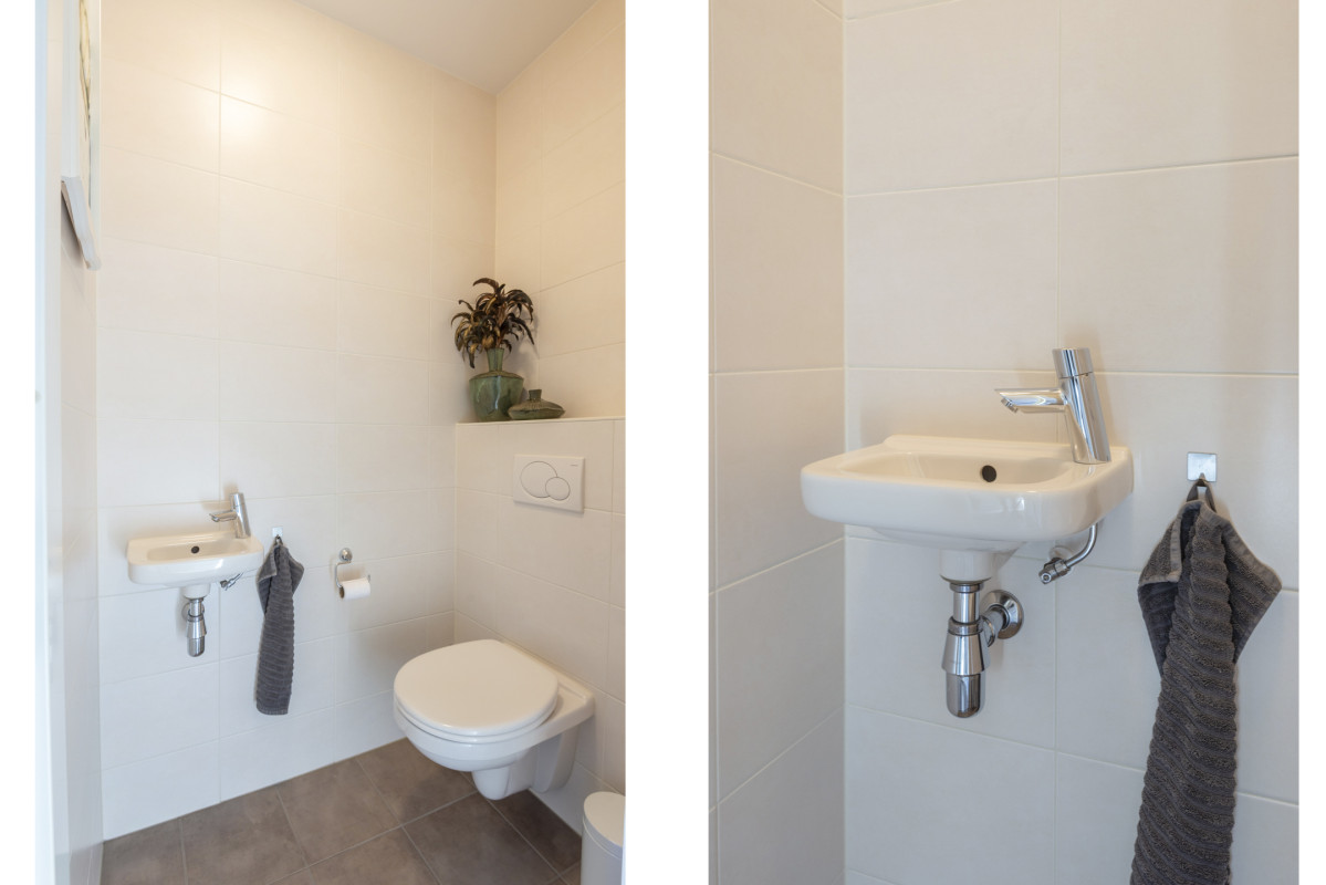 Speenkruid 5 (afbeelding 6)