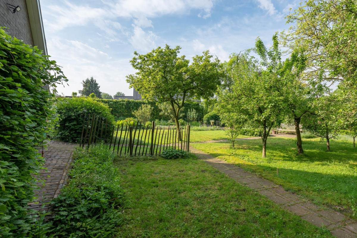 Wuitekampweg / Honskamperweg (afbeelding 4)