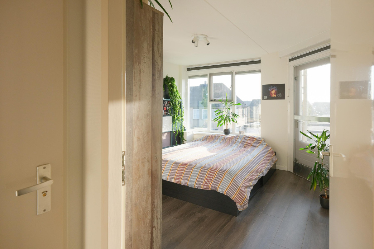 Boekweitakker 24 (afbeelding 17)