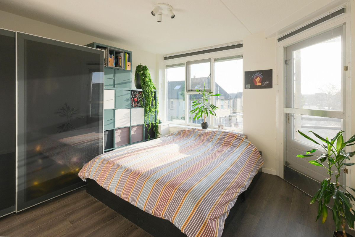 Boekweitakker 24 (afbeelding 18)