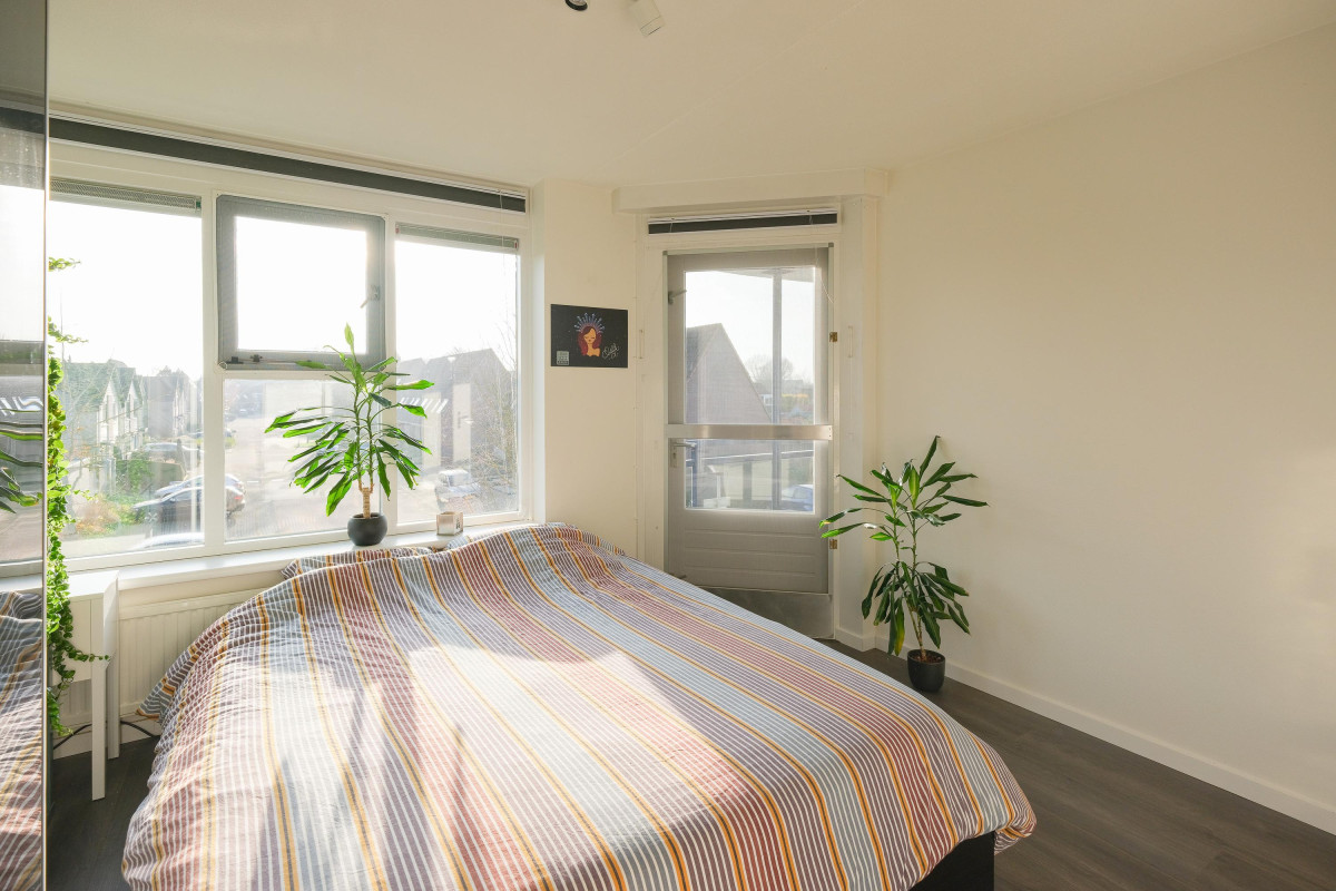 Boekweitakker 24 (afbeelding 20)