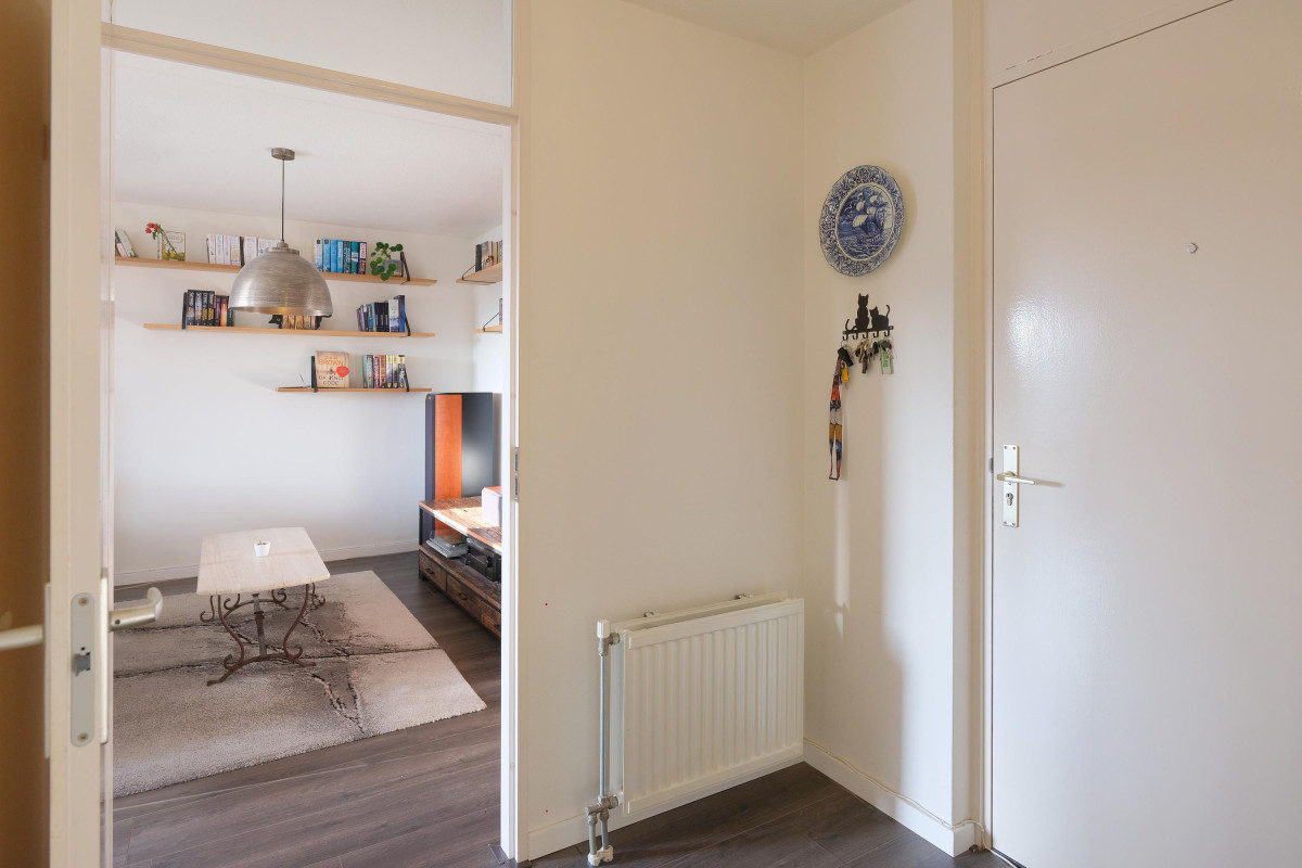 Boekweitakker 24 (afbeelding 3)