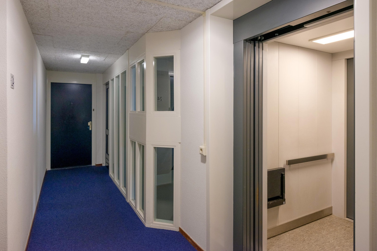 Boekweitakker 24 (afbeelding 25)