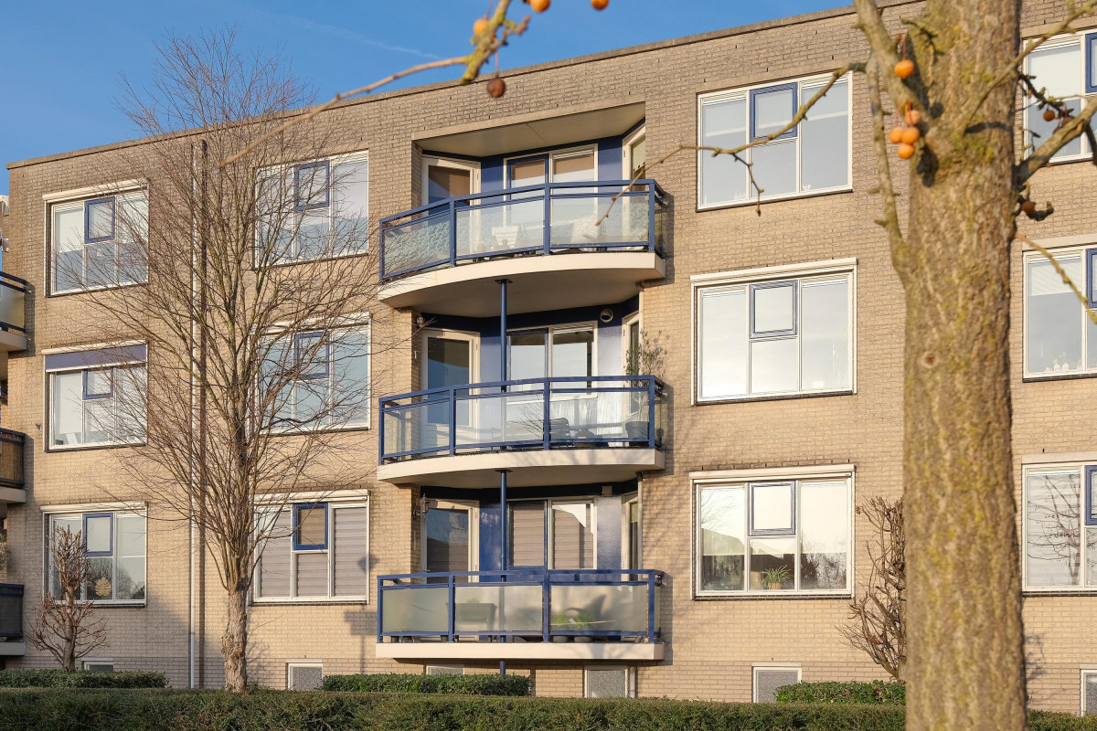 Boekweitakker 24 (afbeelding 26)