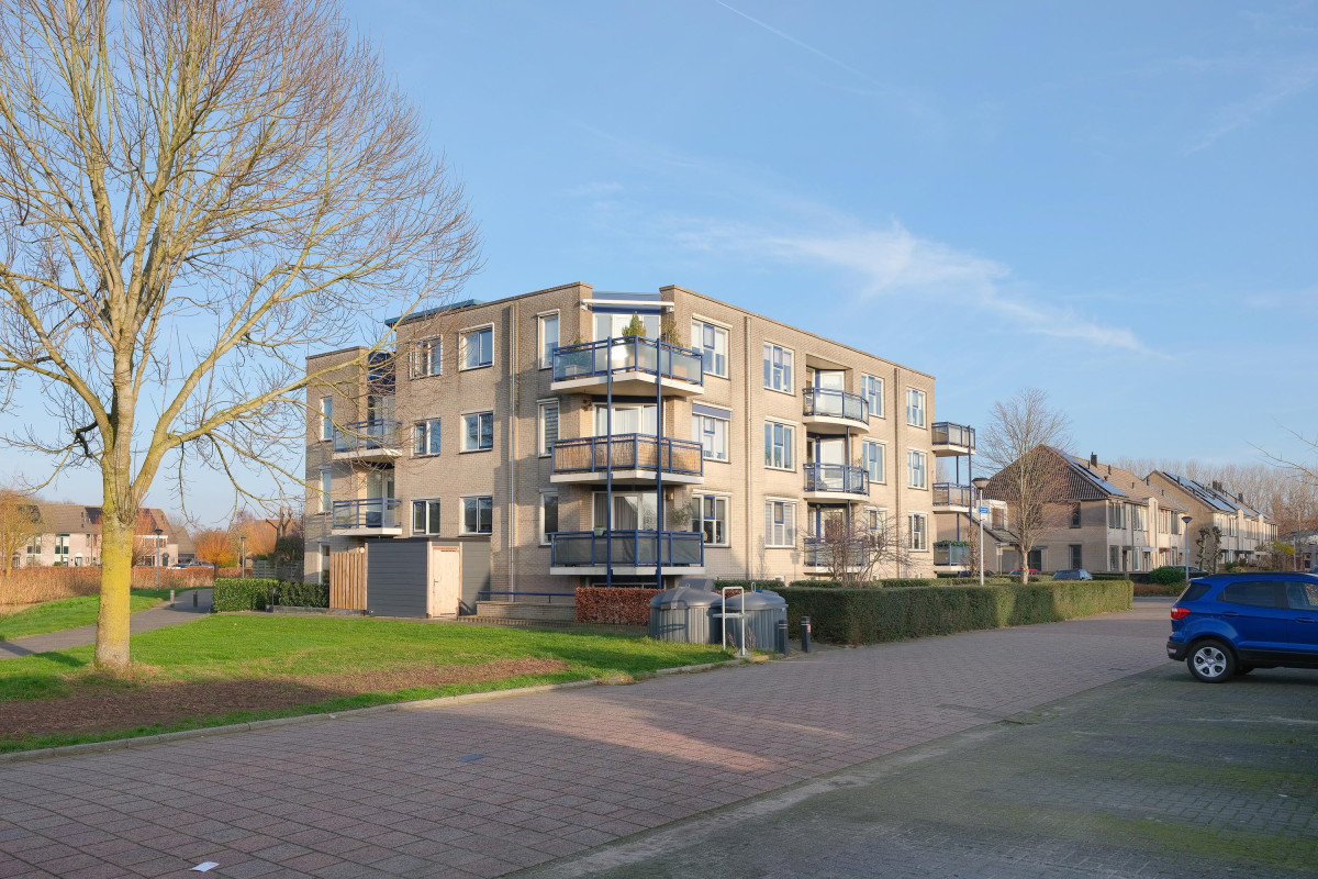 Boekweitakker 24 (afbeelding 27)