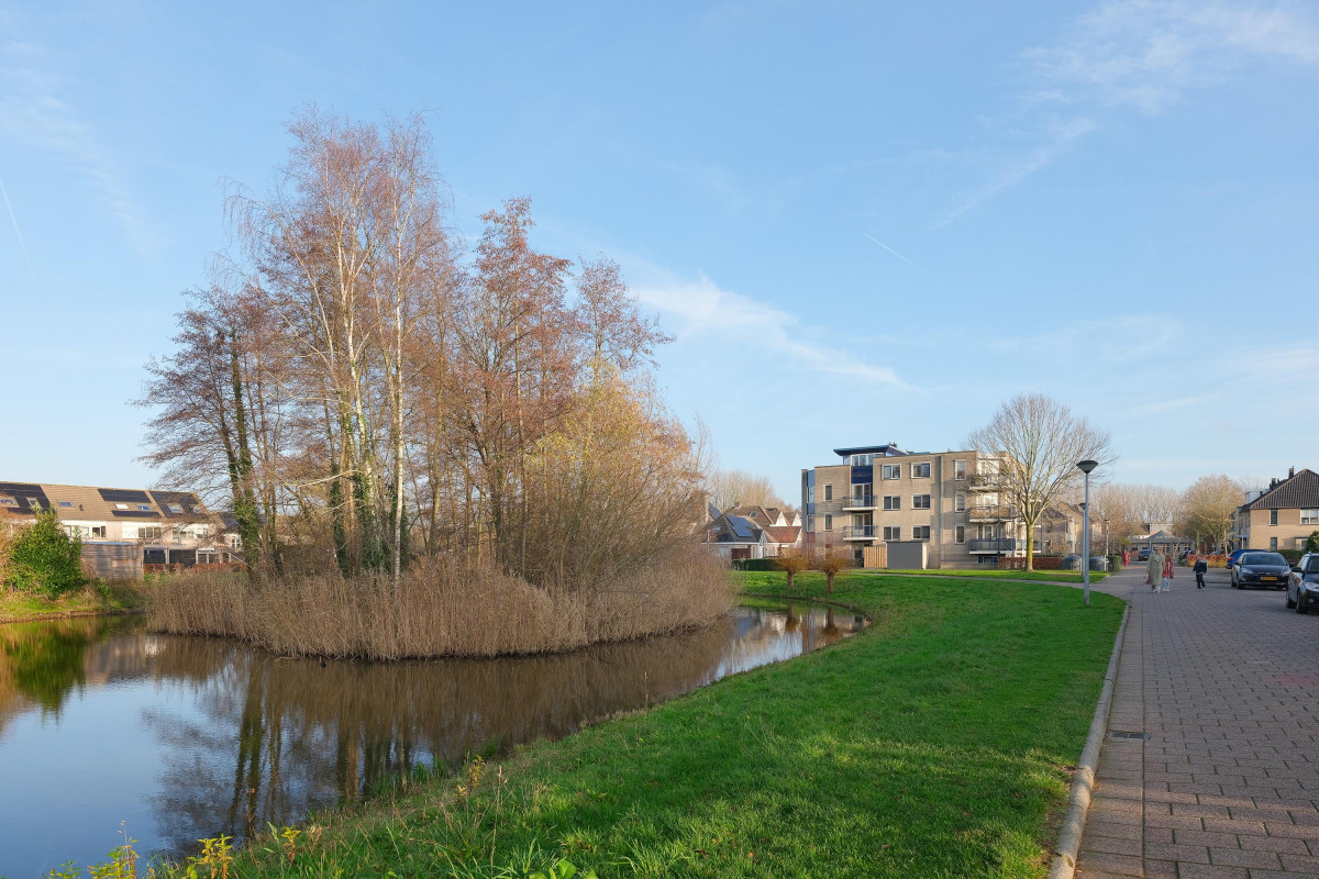 Boekweitakker 24 (afbeelding 28)