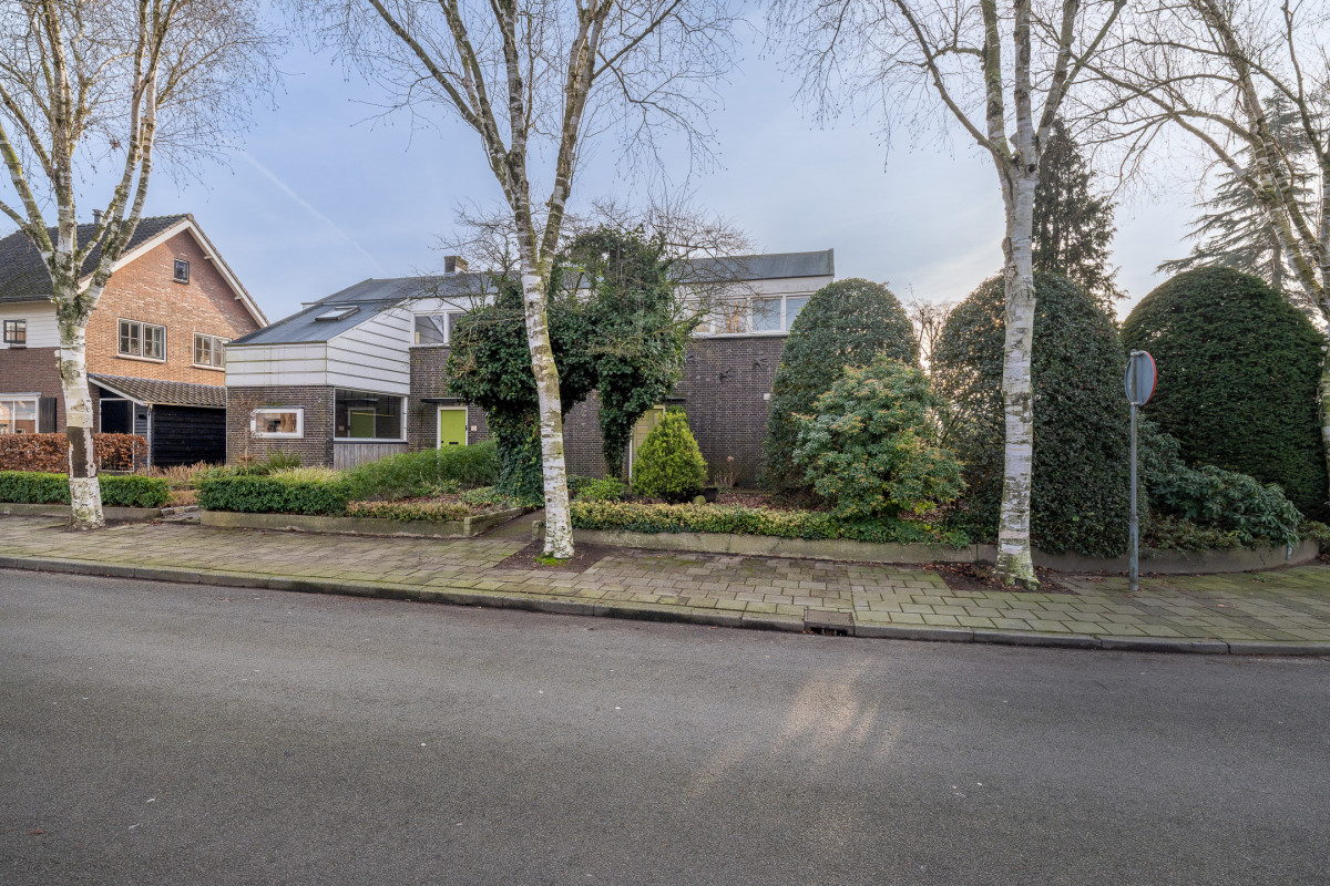 Johan de Wittlaan 15 (afbeelding 50)