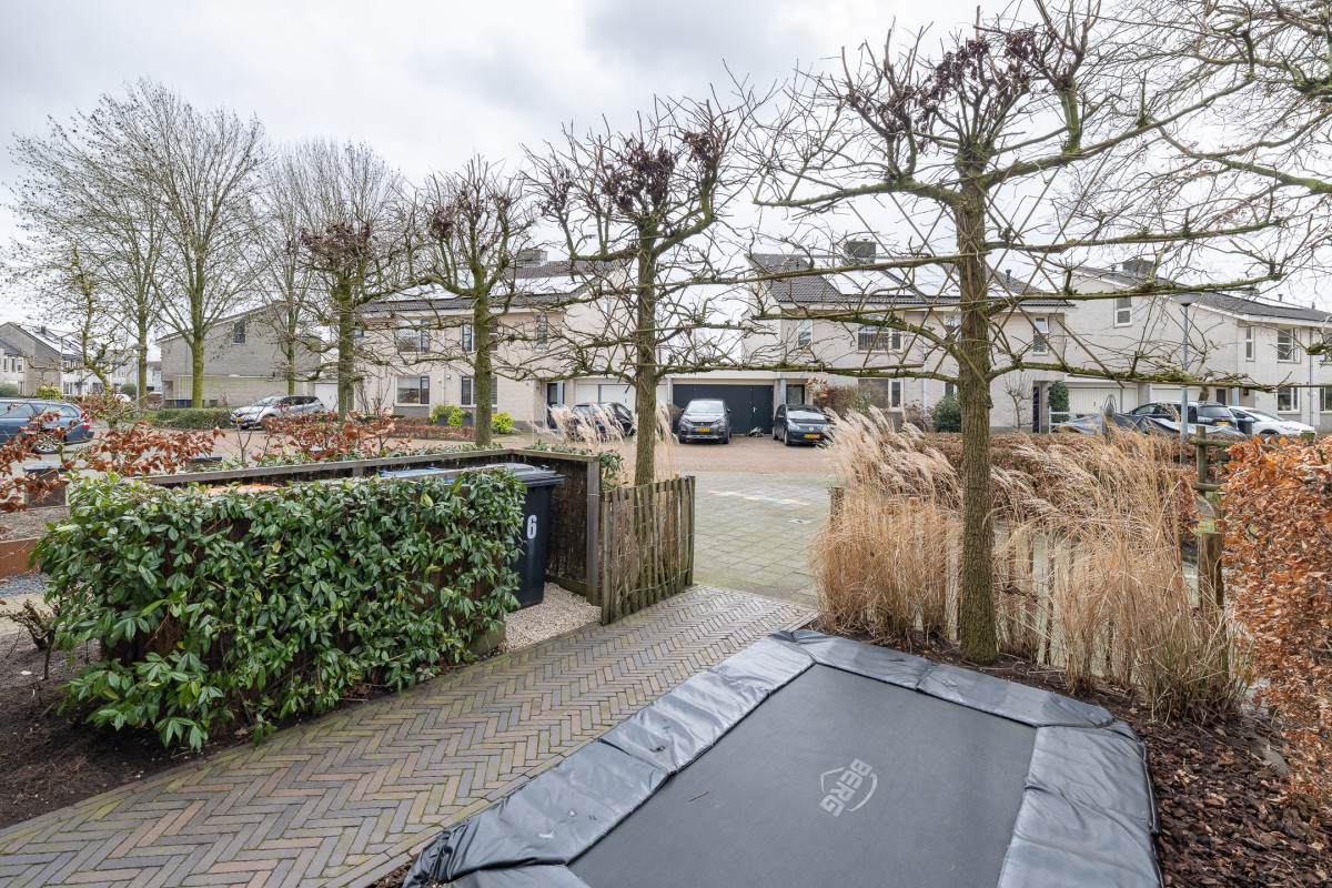 Wijnakker 6 (afbeelding 40)