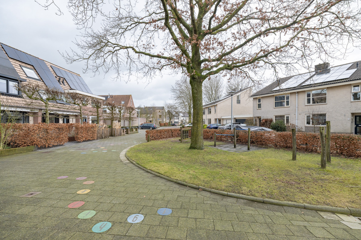 Wijnakker 6 (afbeelding 43)