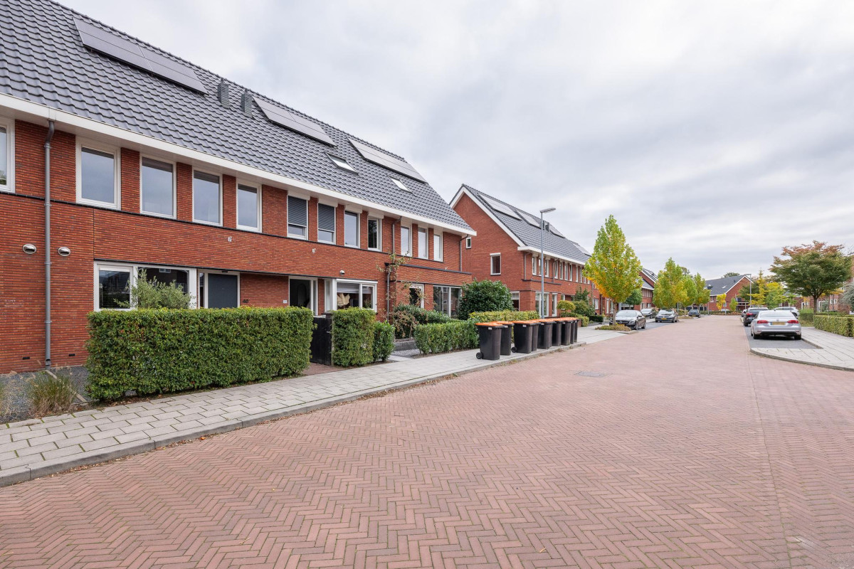 Hoevedorp 40 (afbeelding 39)