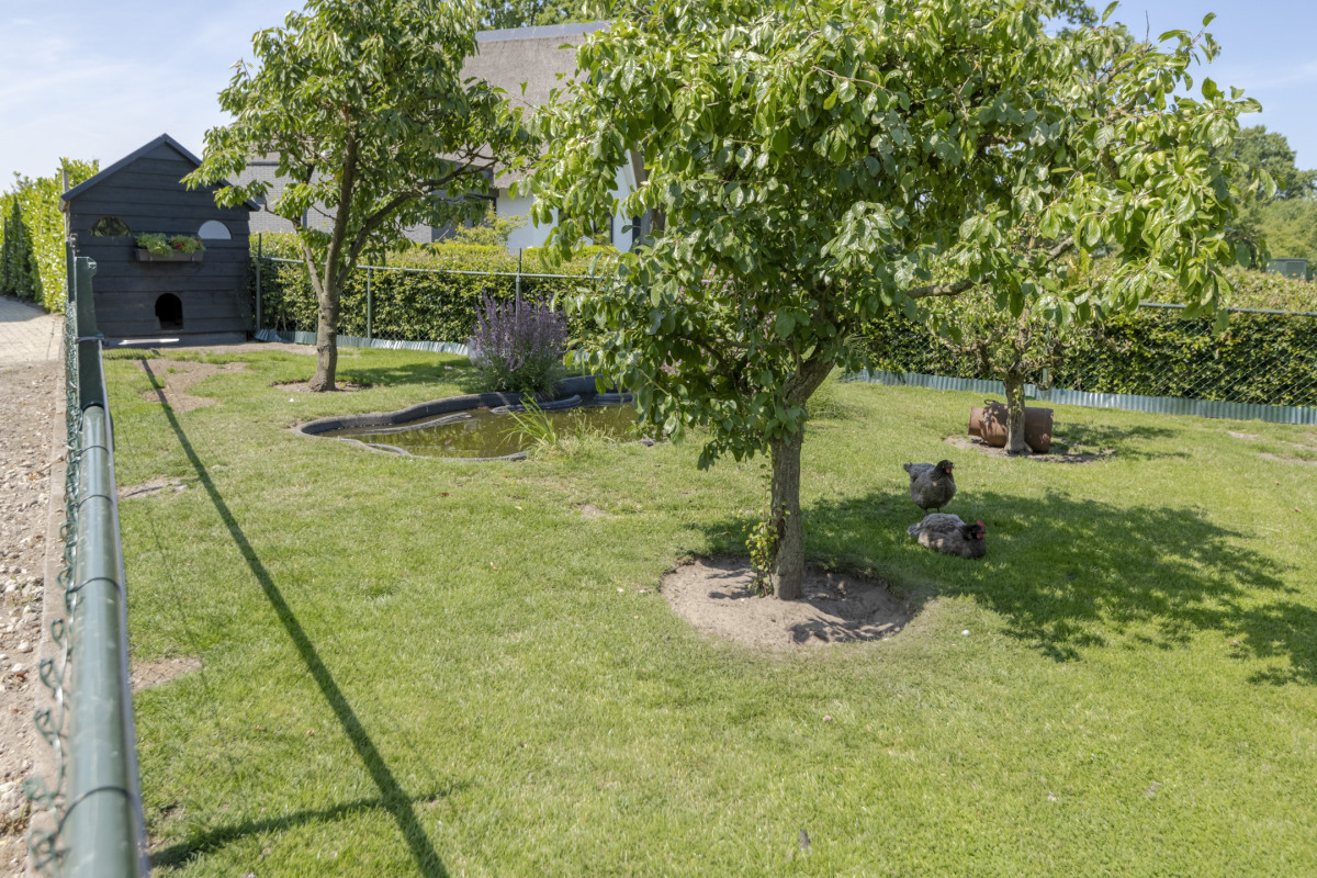 Oude Zeumerseweg 8 (afbeelding 65)