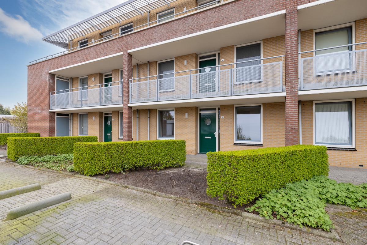 Herfsttuin 20 (afbeelding 1)