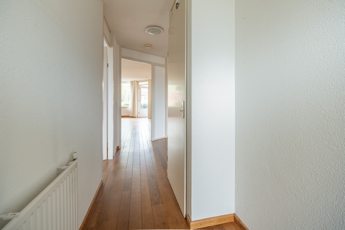 Herfsttuin 20 (afbeelding 19)