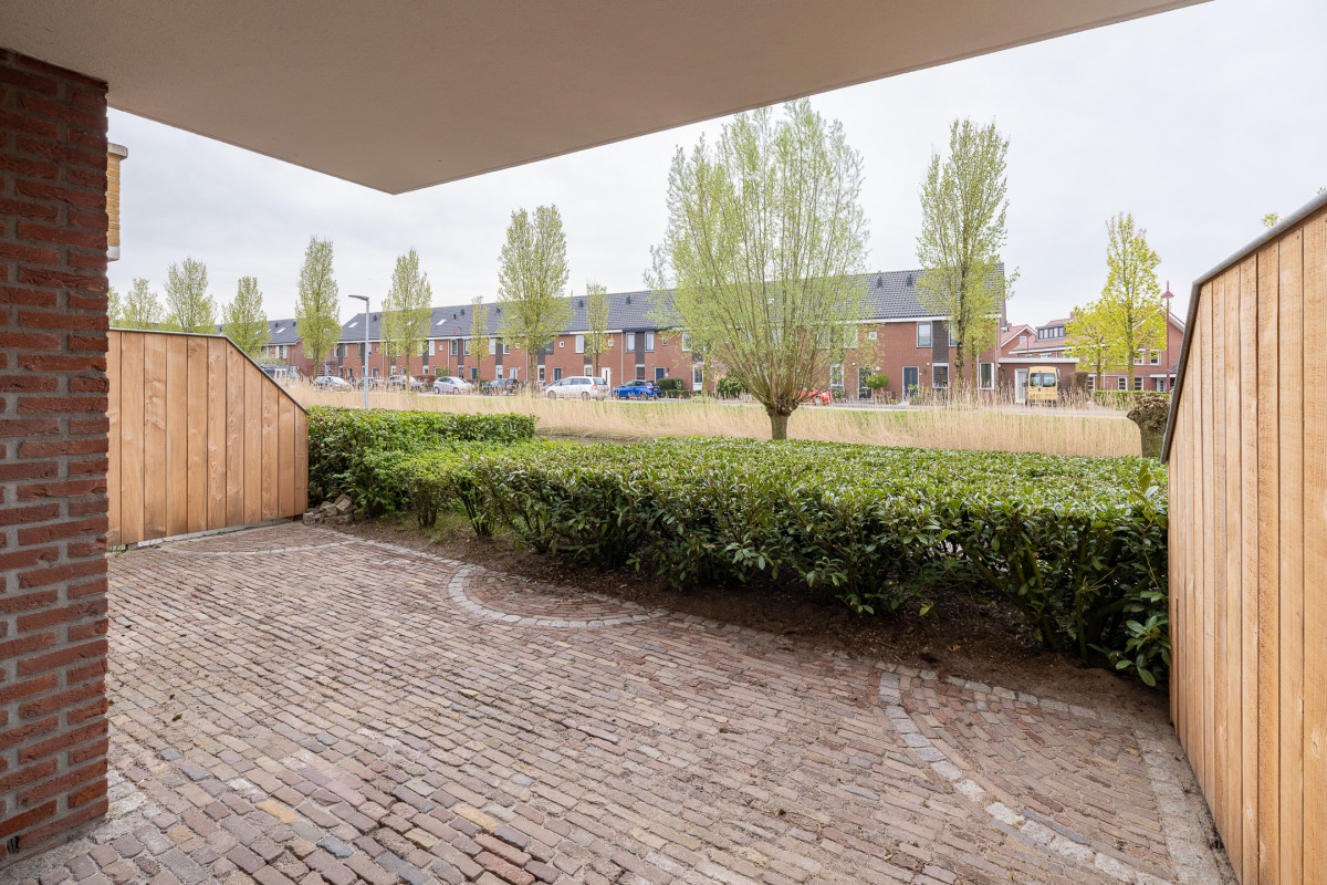 Herfsttuin 20 (afbeelding 29)