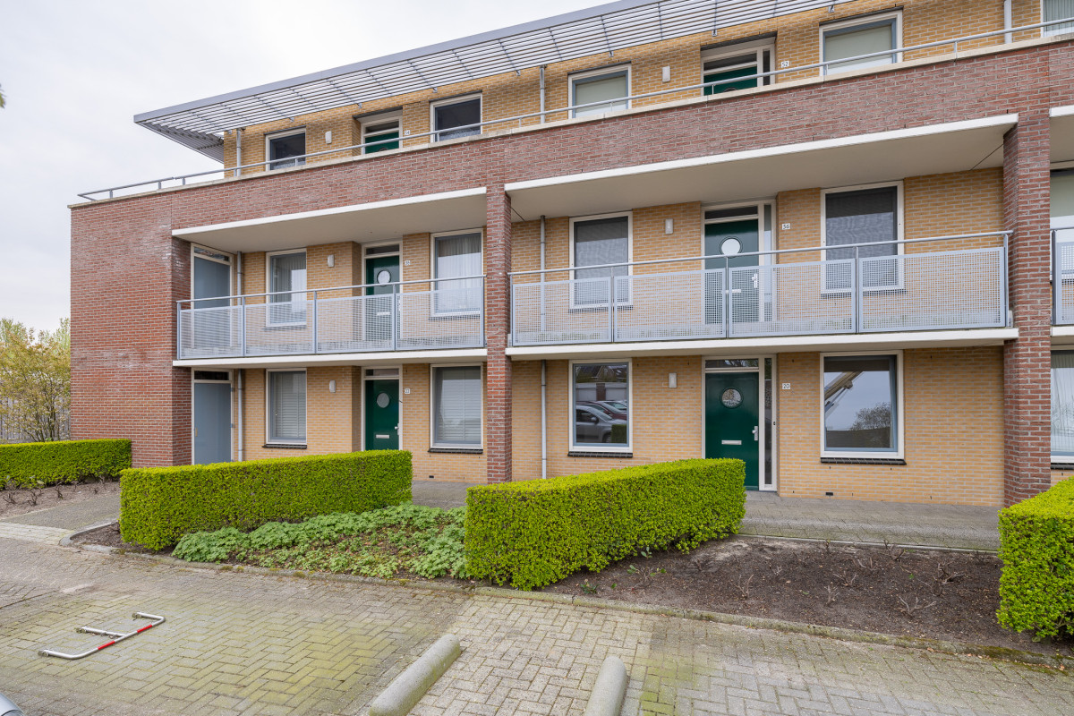 Herfsttuin 20 (afbeelding 31)