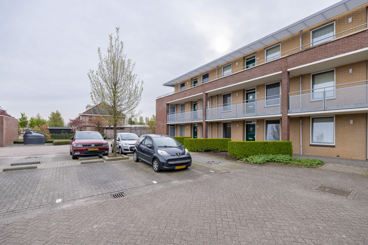 Herfsttuin 20 (afbeelding 32)