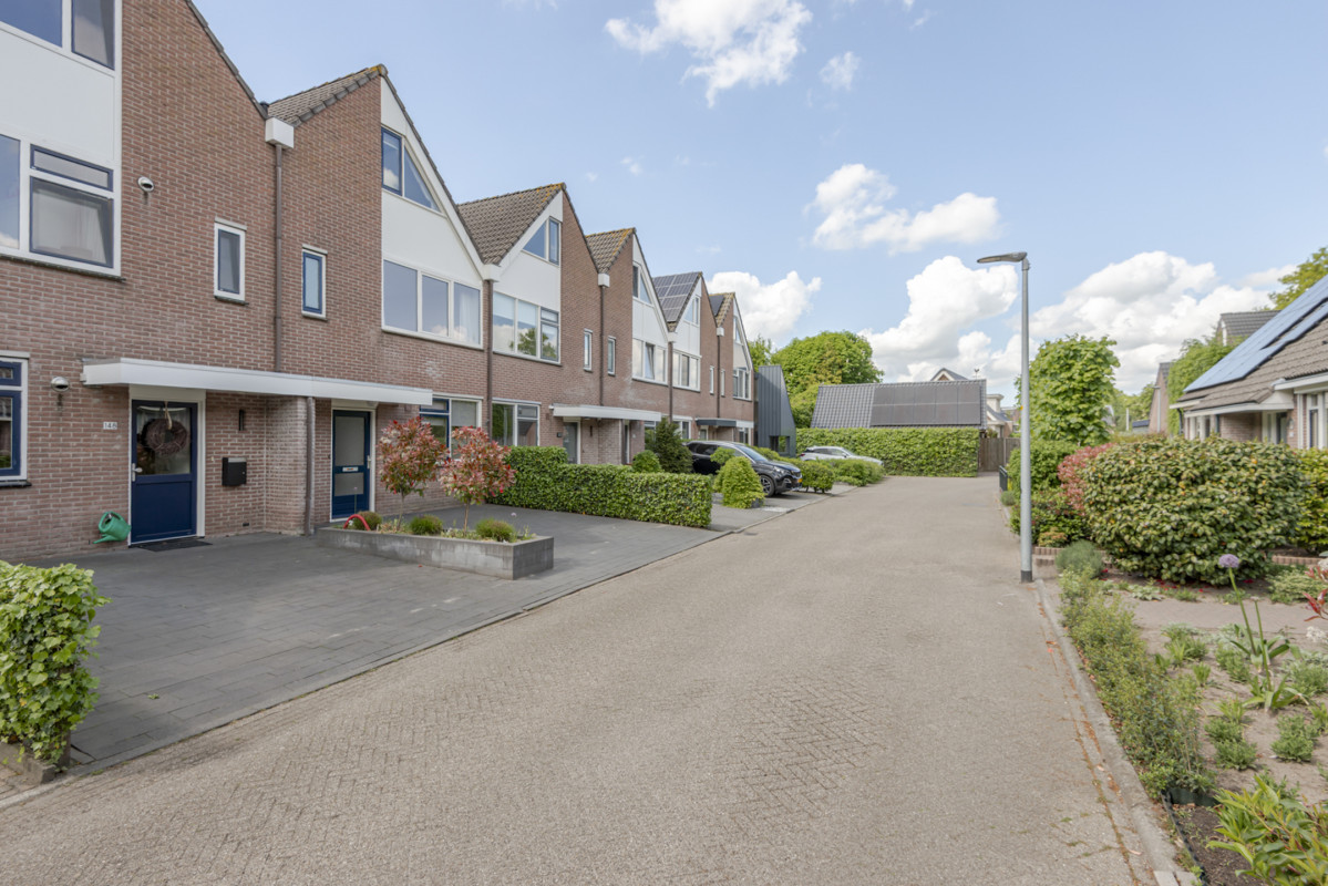De Cotelaer 147 (afbeelding 41)