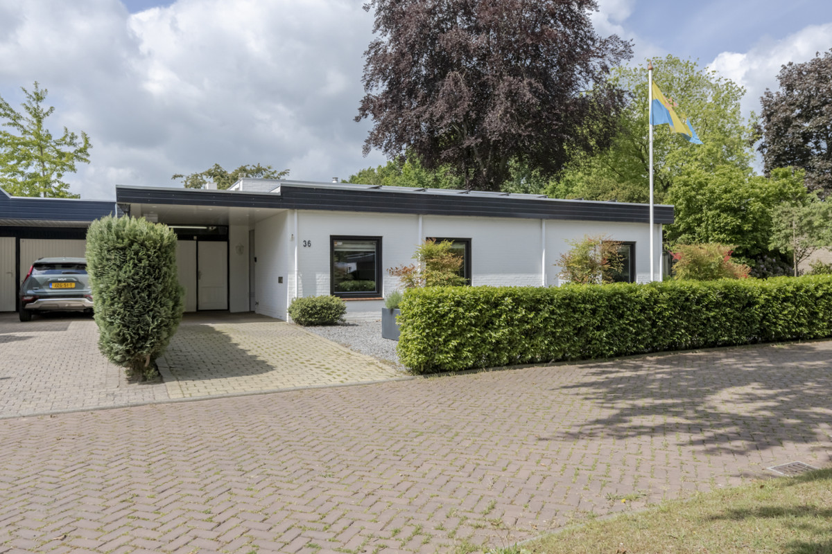 Van Riebeeckstraat 36 (afbeelding 5)