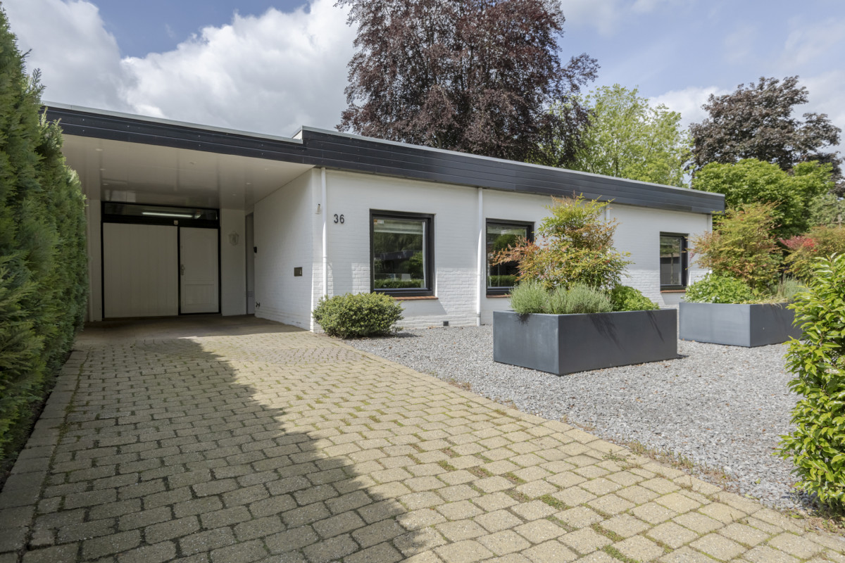 Van Riebeeckstraat 36 (afbeelding 6)