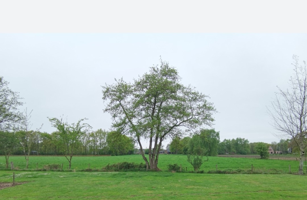 Puurveenseweg – kavel II (afbeelding 2)